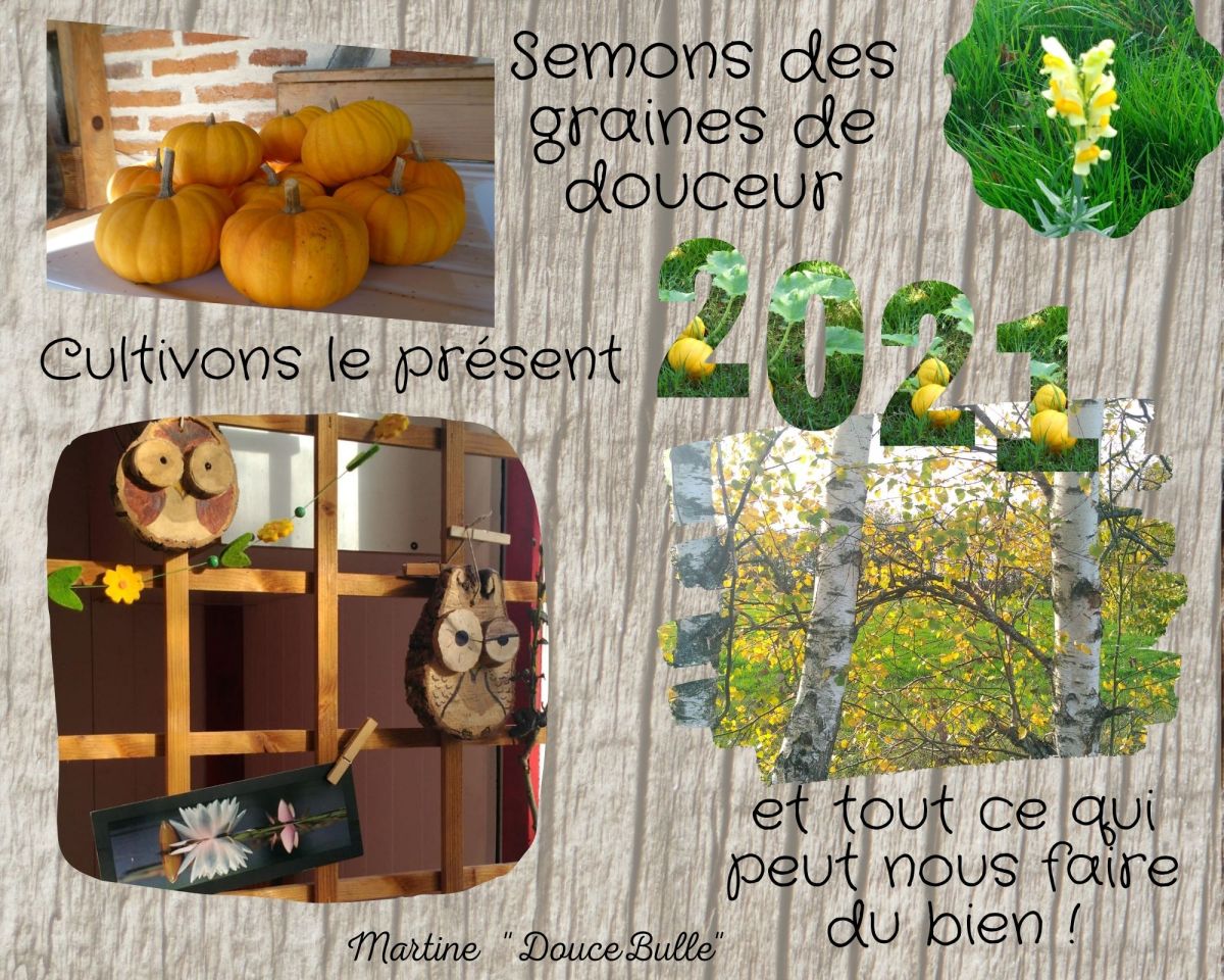 Vœux Doucebulle 2021